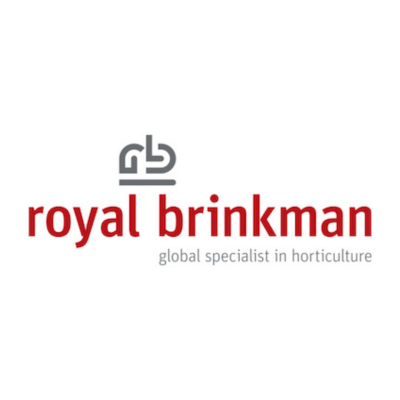 deVine Voices Native English Male Voiceover Royal Brinkman